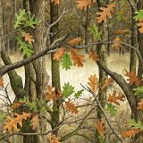 Deer-Field-Camo-44.jpg