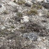 Desert-Digital-Camo-1.jpg