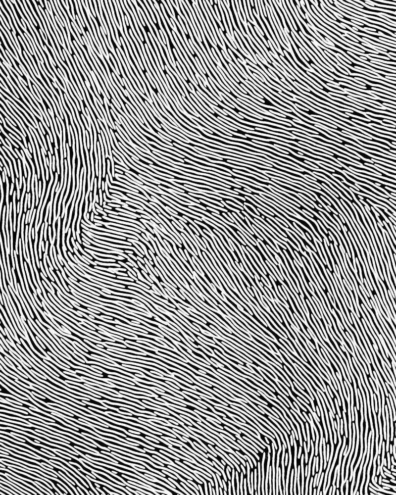 Fingerprint 42