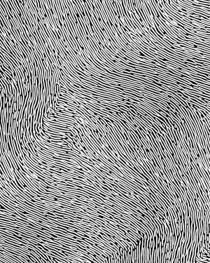 Fingerprint 42