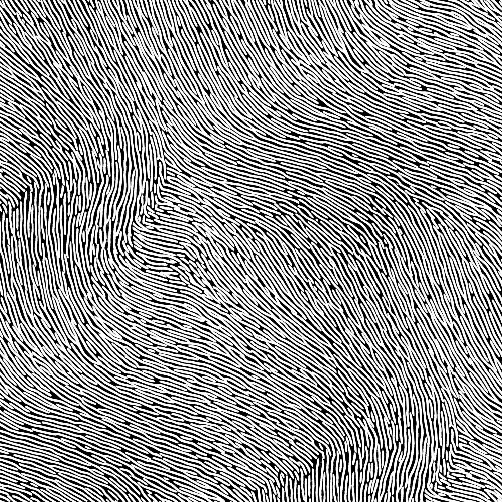 Fingerprint 42