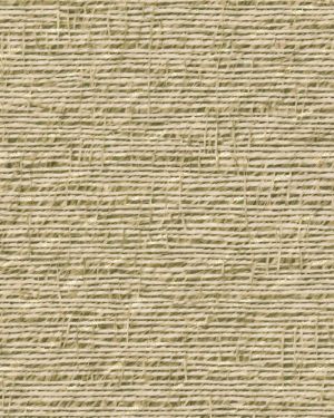 Grasscloth 42