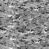 MultiCam-25.jpg