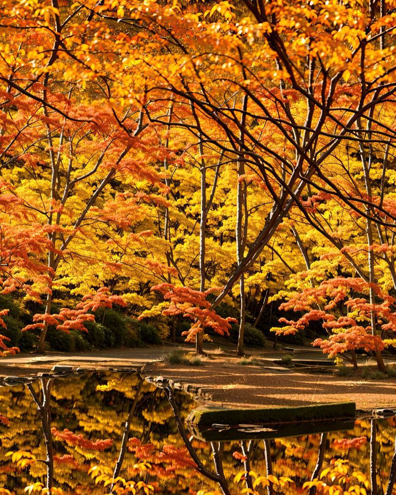On Golden Pond 42