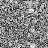 Ornamental-24.jpg