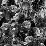 Predator-42.jpg