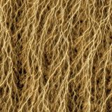 Roots-42.jpg