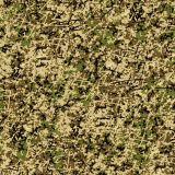 Tactical-Camo-331.jpg