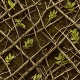 Tactical-Camo-337.jpg