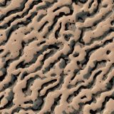 Tactical-Camo-339.jpg