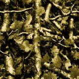 Tactical-Camo-356.jpg