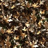 Tactical-Camo-392.jpg