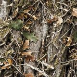 Tactical-Camouflage-386.jpg