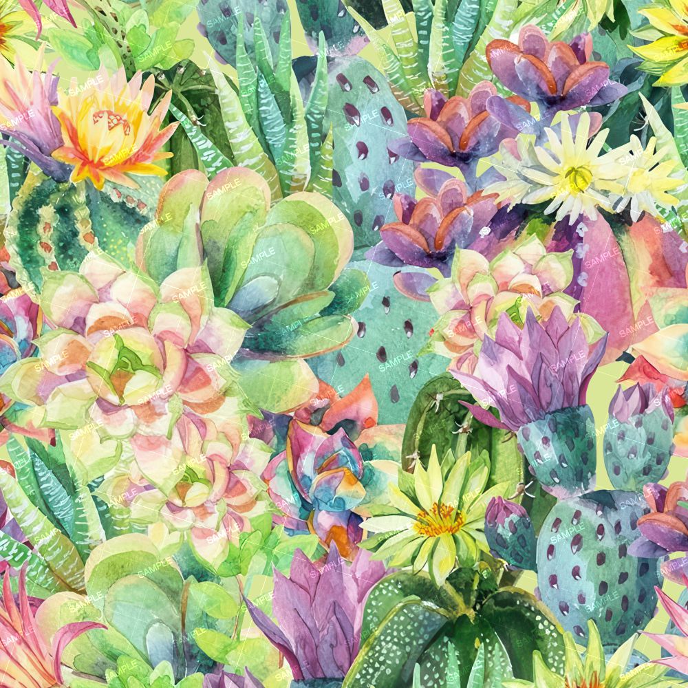 Watercolor Succulents 23